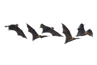 Halloween Flying Vampire Bats Wall Decal Sticker Set