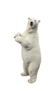 Standing Polar Bear Wall Decal