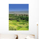 Fertile Valley Wall Decal