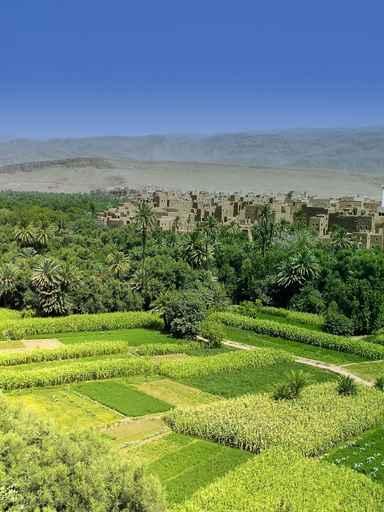 Fertile Valley Wall Decal