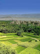 Fertile Valley Wall Decal