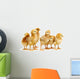 Six Chickens Baby Chicks Wall Decal