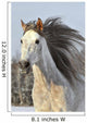 White Horse Run Gallop