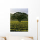 Large Tree Vineyard Wall Decal