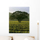 Large Tree Vineyard Wall Decal