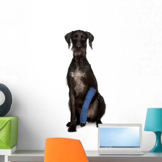 Poor Lurcher Dog Wall Decal