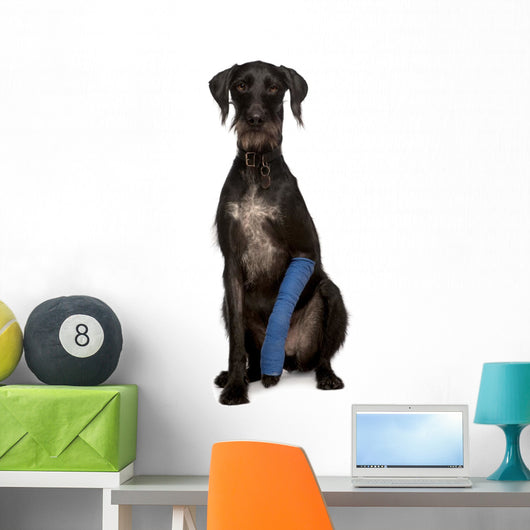 Poor Lurcher Dog Wall Decal