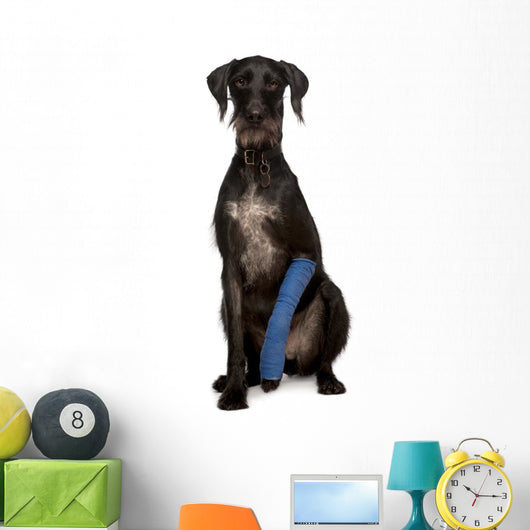Poor Lurcher Dog Wall Decal