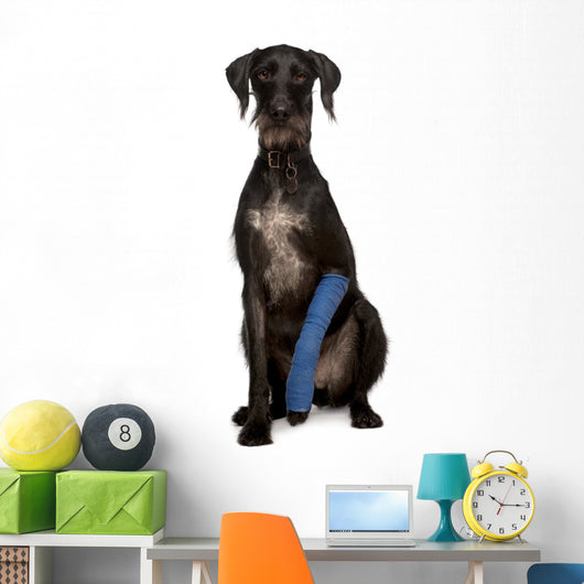 Poor Lurcher Dog Wall Decal