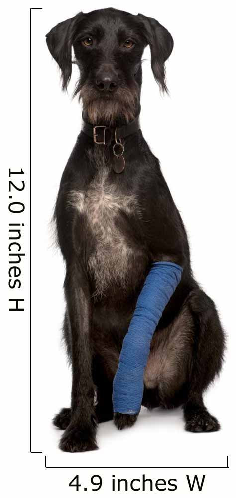 Poor Lurcher Dog Wall Decal