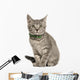 Kitten European cat Wall Decal