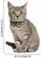 Kitten European cat Wall Decal