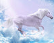 Magical Horse Chasing Clouds Wall Decal