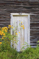 Door To An Old Shed With Wildflowers Growing Outside Wall Mural
