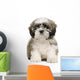 Shih Tzu Puppy Wall Decal