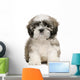 Shih Tzu Puppy Wall Decal