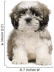 Shih Tzu Puppy Wall Decal