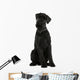 Giant Schnauzer Dog Wall Decal