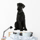 Giant Schnauzer Dog Wall Decal