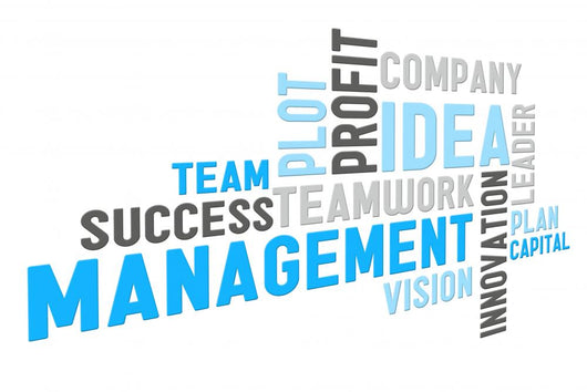 Management Wall Mural