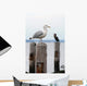 Seagull Perched