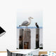 Seagull Perched