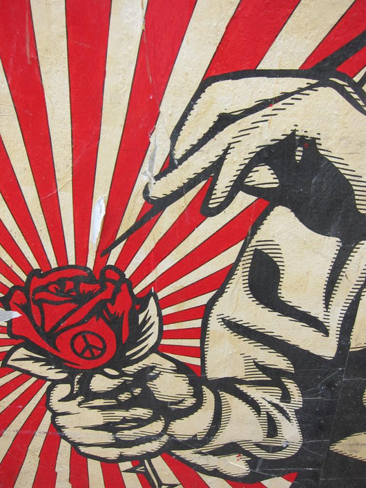Flower Power Wall Mural