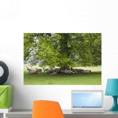 Sheep Standing under Tree Wall Mural shown on a wall