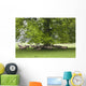 Sheep Standing Under A Tree Wall Mural