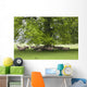 Sheep Standing Under A Tree Wall Mural