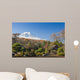View Of Mount Fuji From A Japanese Garden Wall Mural