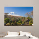 View Of Mount Fuji From A Japanese Garden Wall Mural