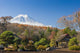 View Of Mount Fuji From A Japanese Garden Wall Mural