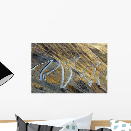 Serpentine Road Wall Decal