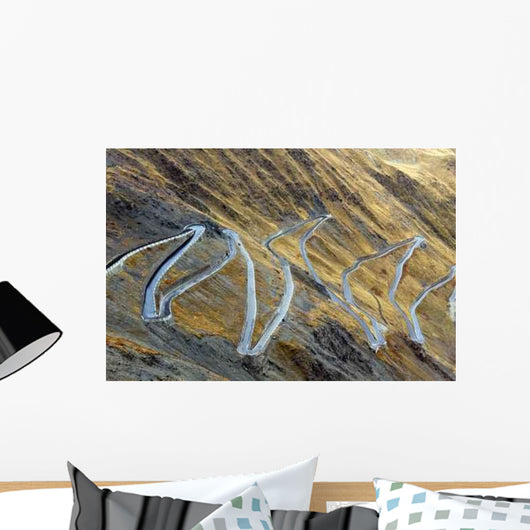 Serpentine Road Wall Decal