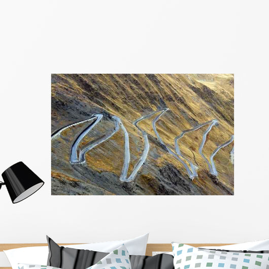 Serpentine Road Wall Decal