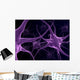 Human Neurons Brain