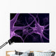 Human Neurons Brain