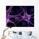 Human Neurons Brain