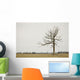 A Lone Tree In A Field Wall Mural