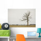 A Lone Tree In A Field Wall Mural