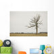 A Lone Tree In A Field Wall Mural
