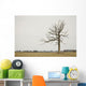 A Lone Tree In A Field Wall Mural