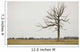 A Lone Tree In A Field Wall Mural