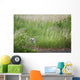 Great Horned Owl In The Grass Wall Mural