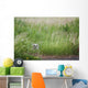 Great Horned Owl In The Grass Wall Mural