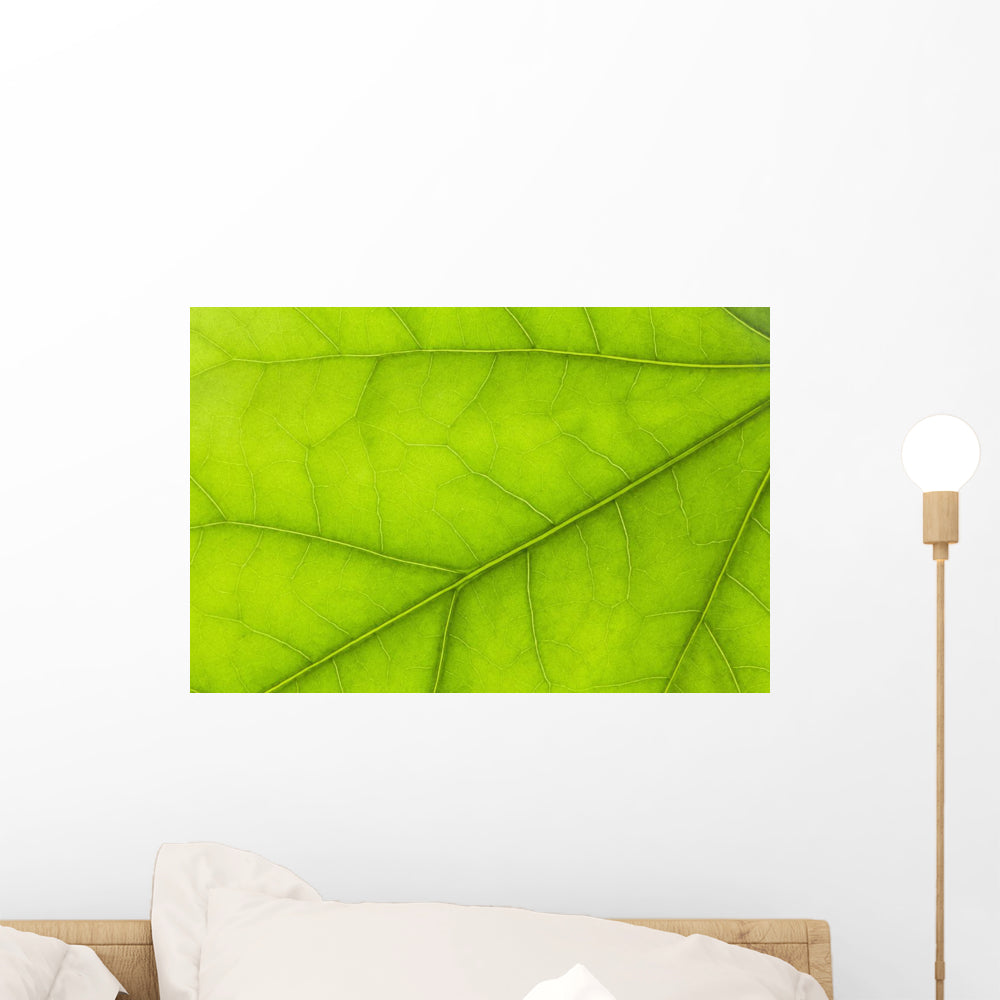 Up Details Green Leaf Wall Mural Wallmonkeys