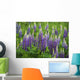 Budding Purple Lupines Wall Mural