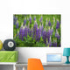 Budding Purple Lupines Wall Mural