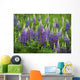 Budding Purple Lupines Wall Mural